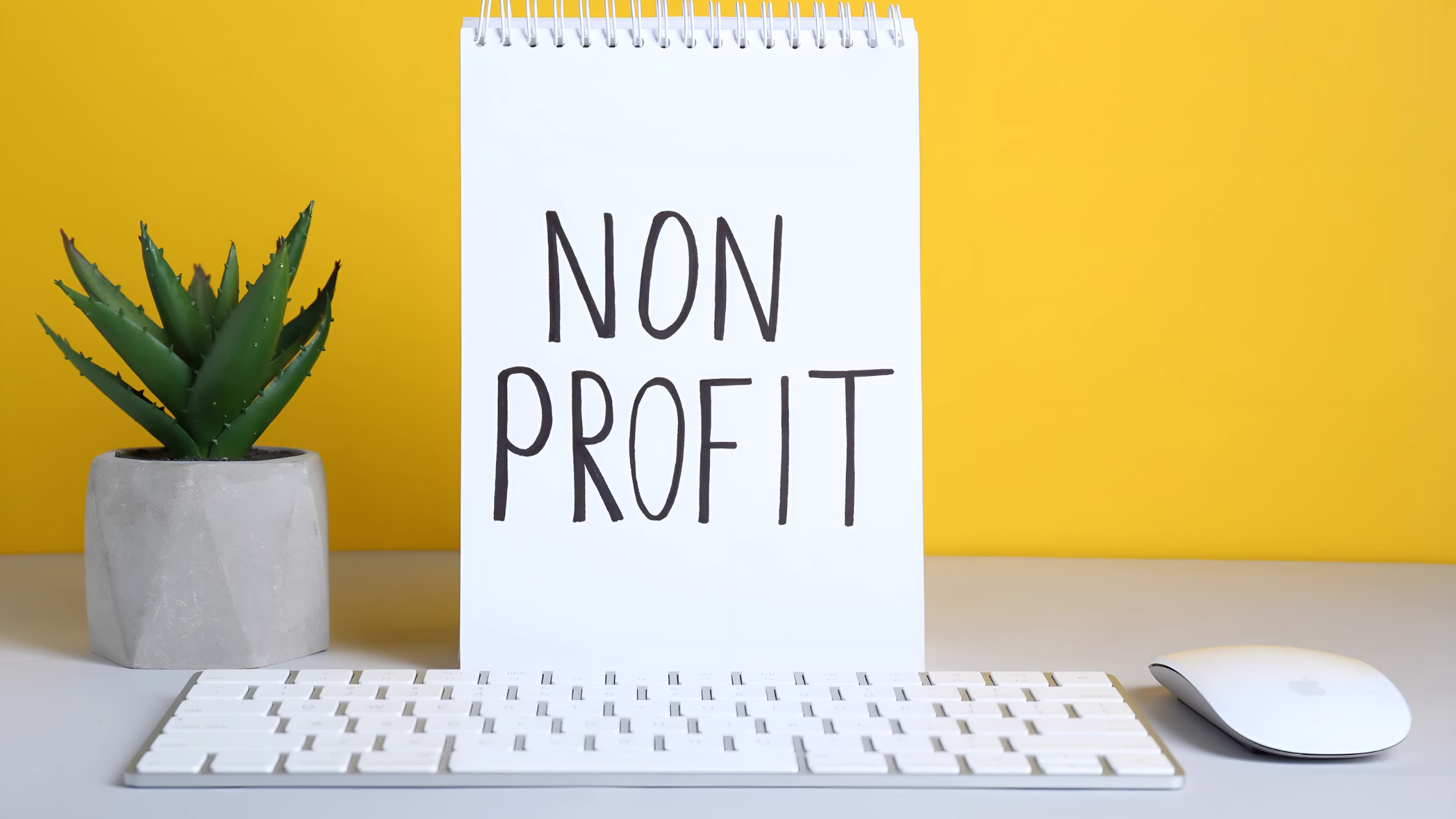 Managed IT Solutions for Nonprofits - Cloud Services for Data Management and Cost Reduction